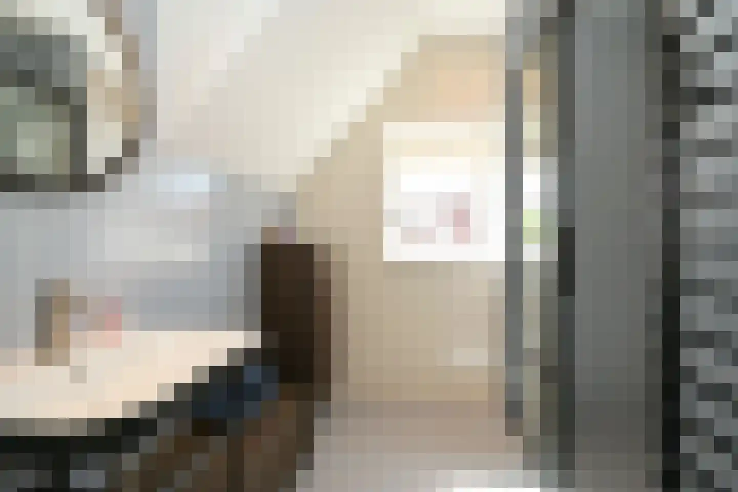 Wildhoeflaan 2 Den Haag thumbnail 36