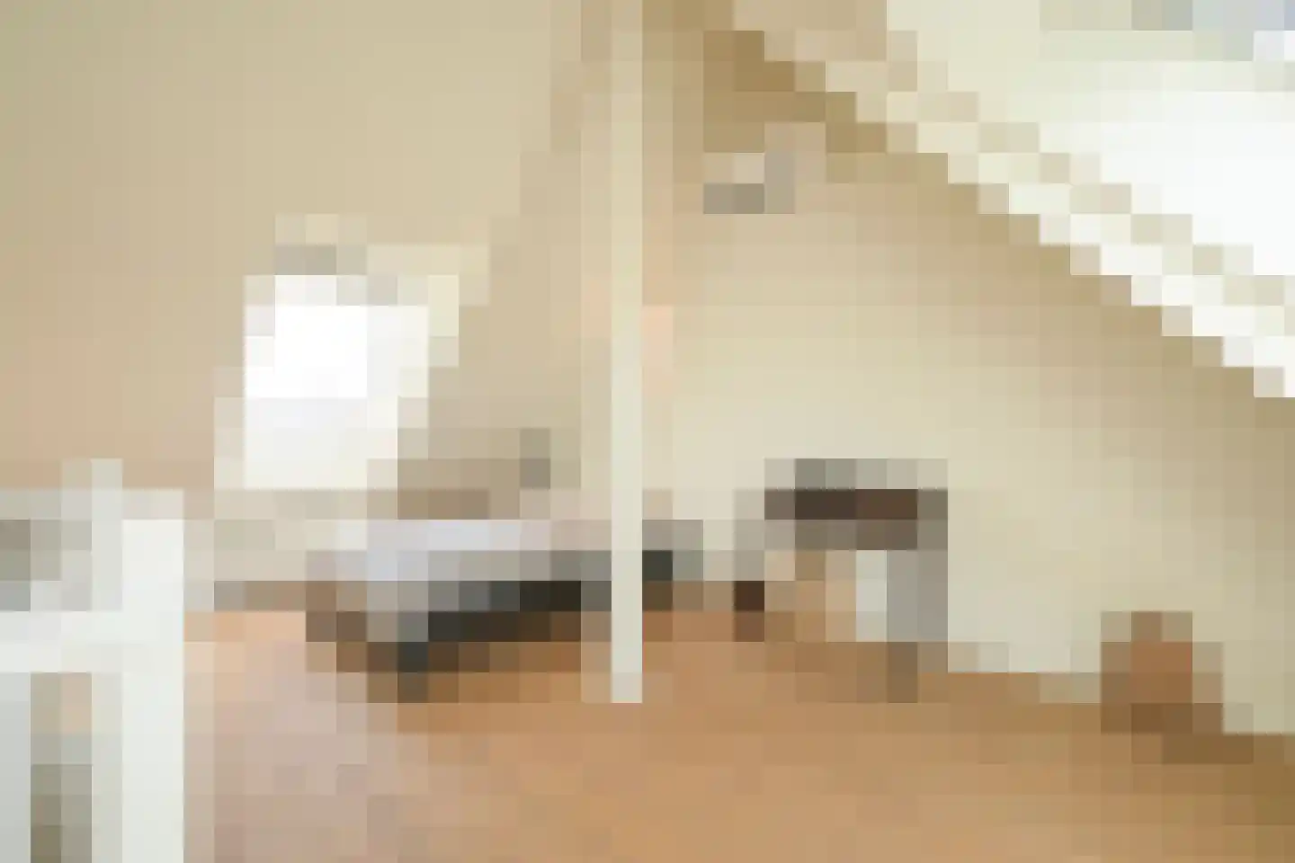 Wildhoeflaan 2 Den Haag thumbnail 41