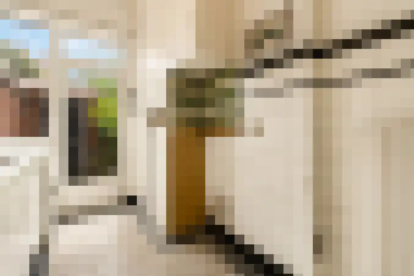 Wildhoeflaan 34 Den Haag thumbnail 38