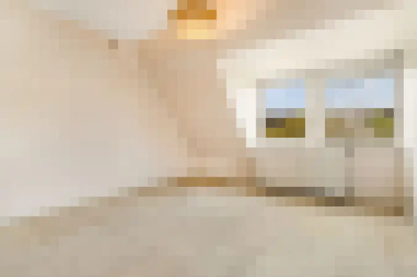 Wildhoeflaan 34 Den Haag thumbnail 57