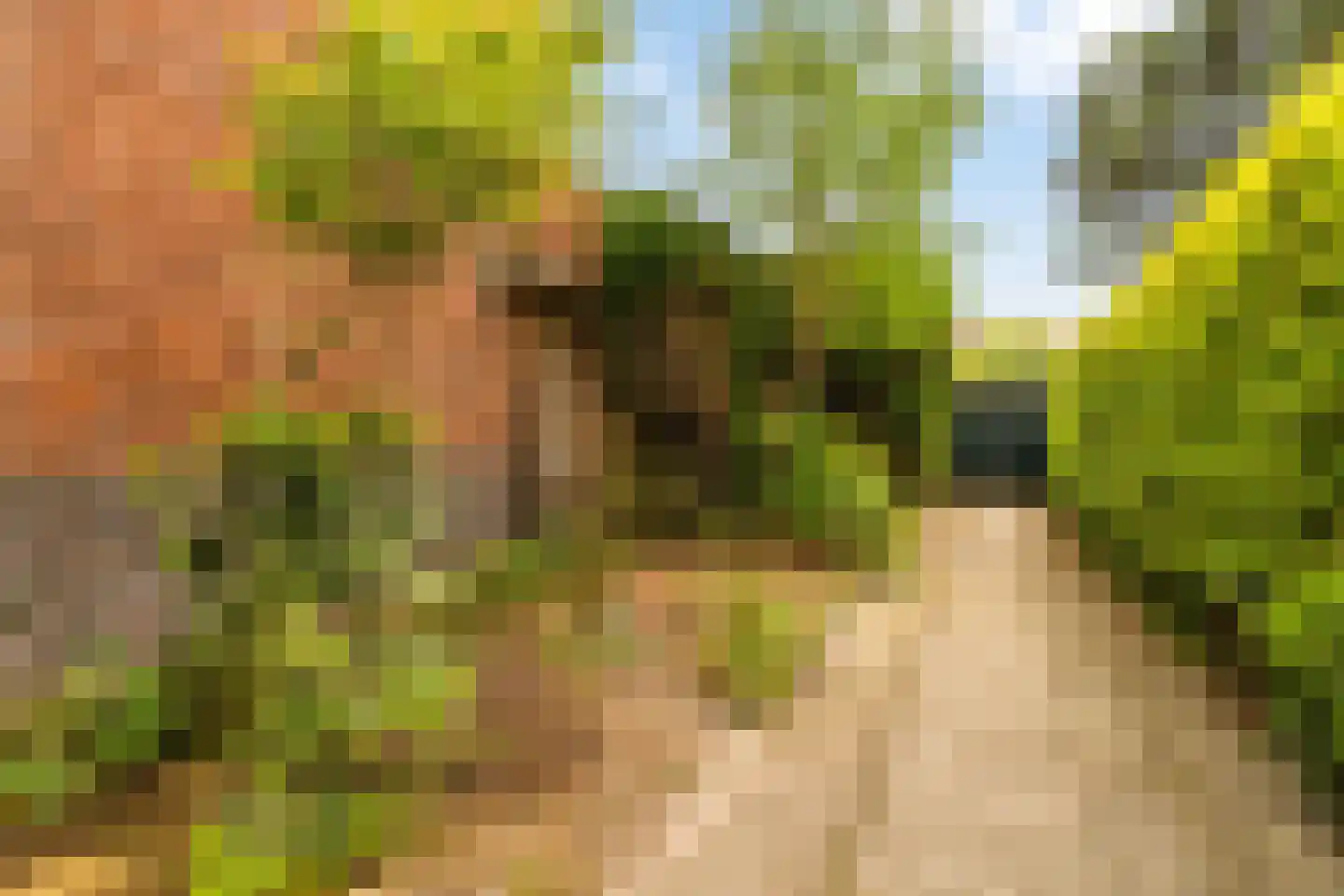 Wildhoeflaan 34 Den Haag thumbnail 69