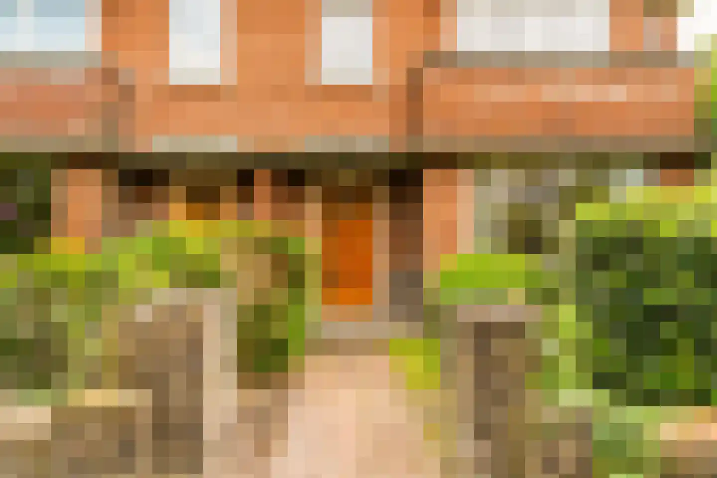 Wildhoeflaan 34 Den Haag thumbnail 8