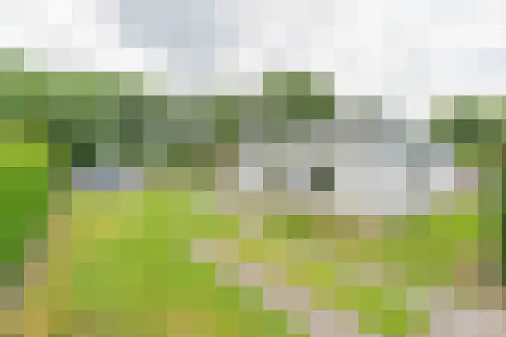 Wildhoek 19 Renesse thumbnail 16