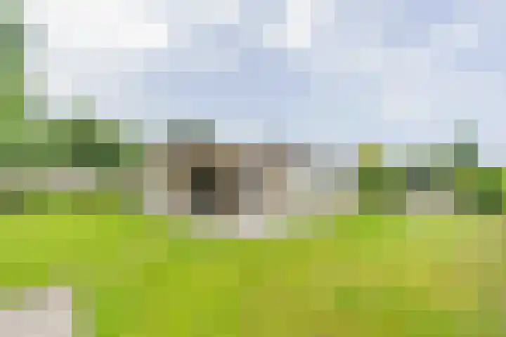 Wildhoek 19 Renesse thumbnail 17