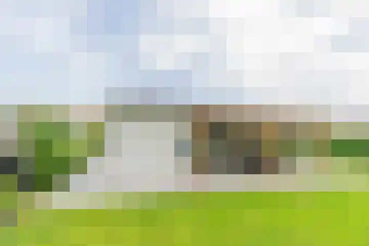 Wildhoek 19 Renesse thumbnail 18
