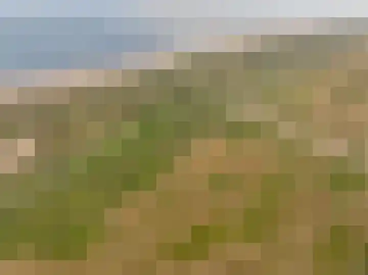 Wildhoek 19 Renesse thumbnail 22