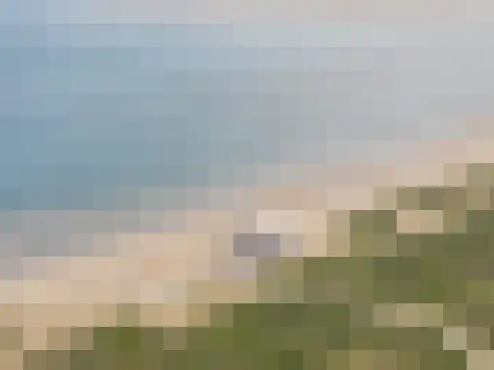 Wildhoek 19 Renesse thumbnail 23