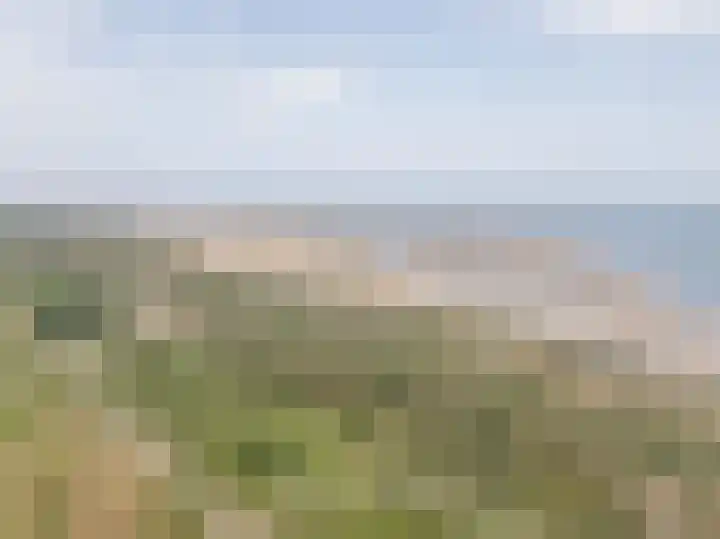 Wildhoek 19 Renesse thumbnail 24