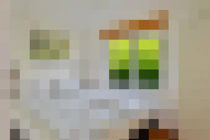 Wildhoek 4 Renesse thumbnail 10