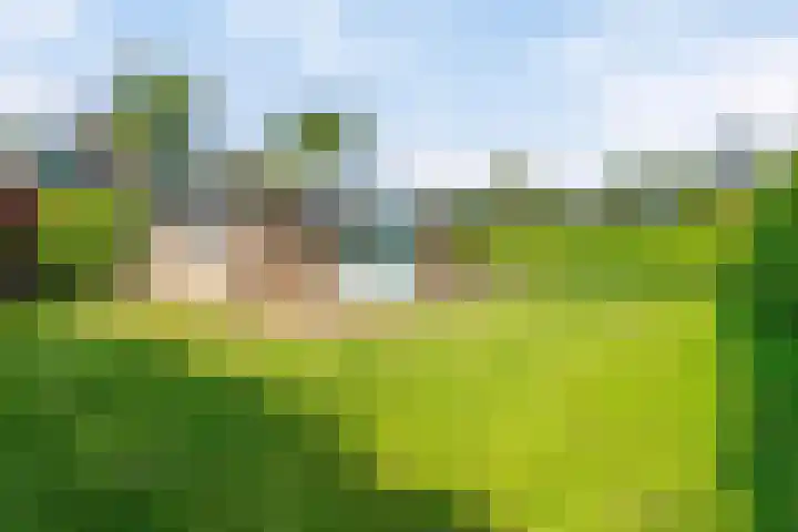 Wildhoek 4 Renesse thumbnail 15