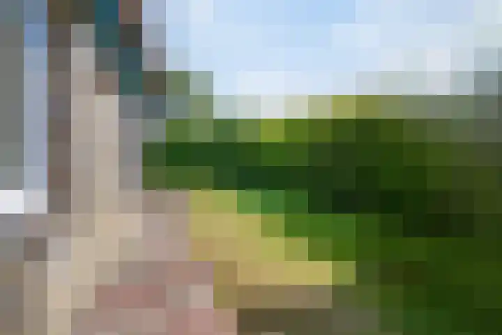 Wildhoek 4 Renesse thumbnail 16