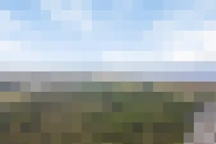 Wildhoek 4 Renesse thumbnail 4