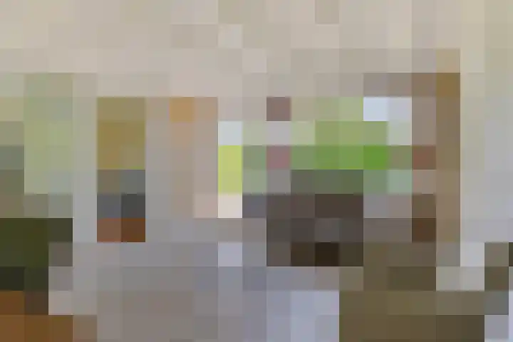 Wildhoek 4 Renesse thumbnail 5