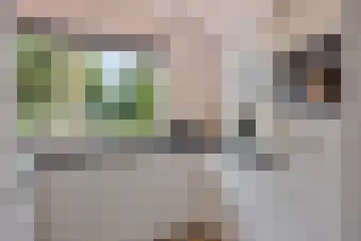 Wildkansel 14 Epe thumbnail 10