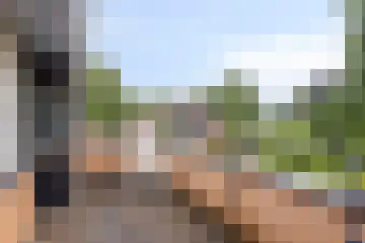 Wildkansel 14 Epe thumbnail 20