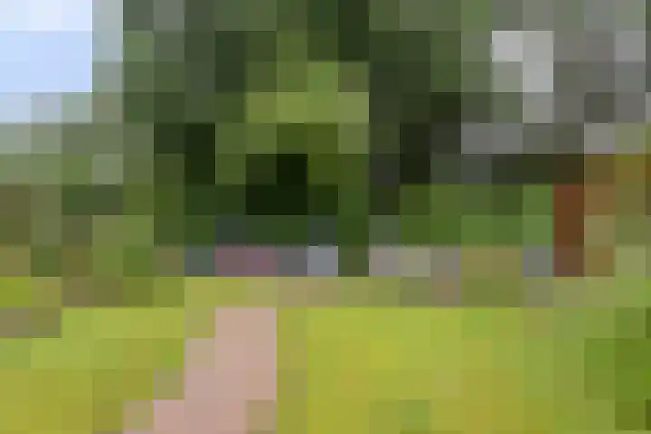 Wildkansel 14 Epe thumbnail 24