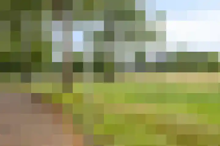 Wildkansel 14 Epe thumbnail 26