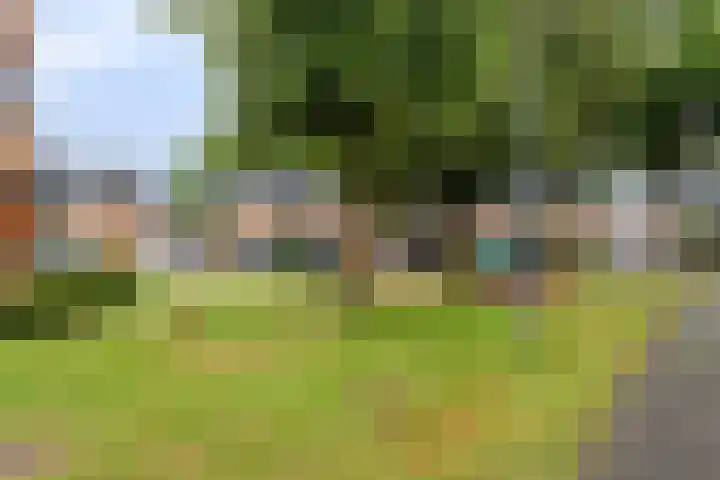 Wildkansel 14 Epe thumbnail 27