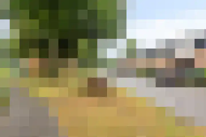 Wildkansel 14 Epe thumbnail 28