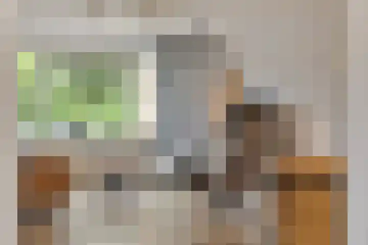 Wildkansel 14 Epe thumbnail 6