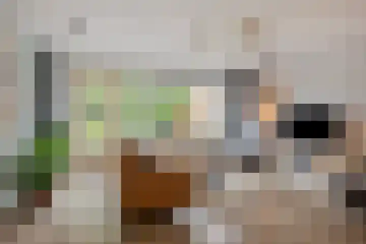 Wildkansel 14 Epe thumbnail 7
