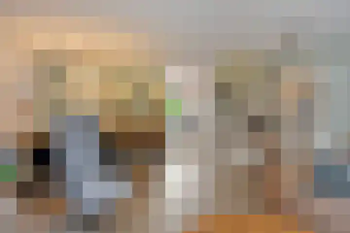 Wildkansel 14 Epe thumbnail 8