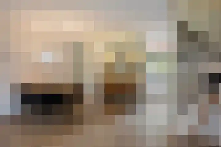 Wildkansel 14 Epe thumbnail 9