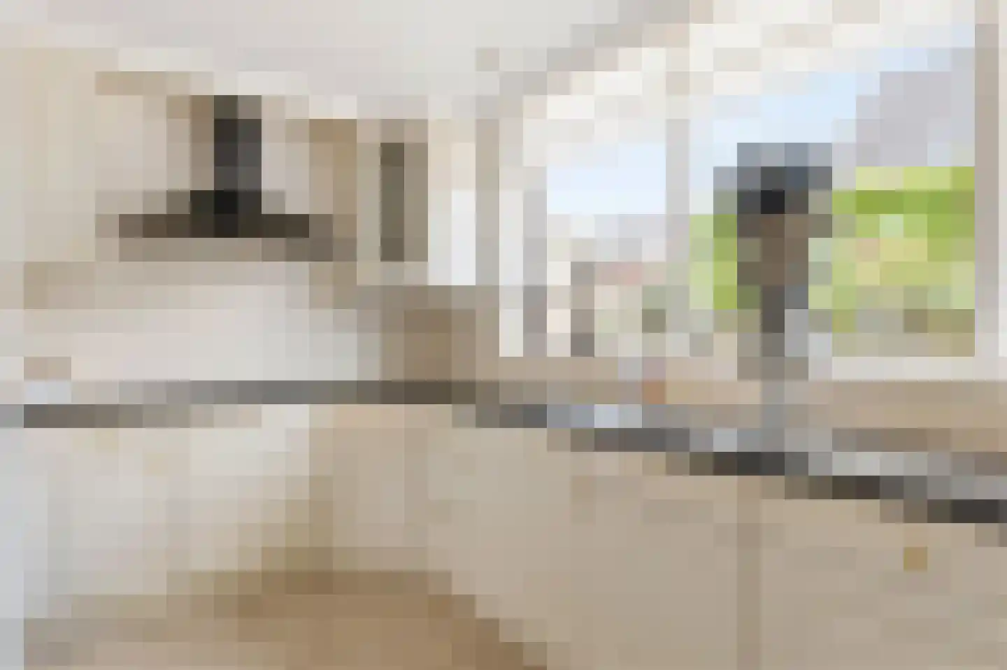 Wildlaan 1 Noordwijkerhout thumbnail 10