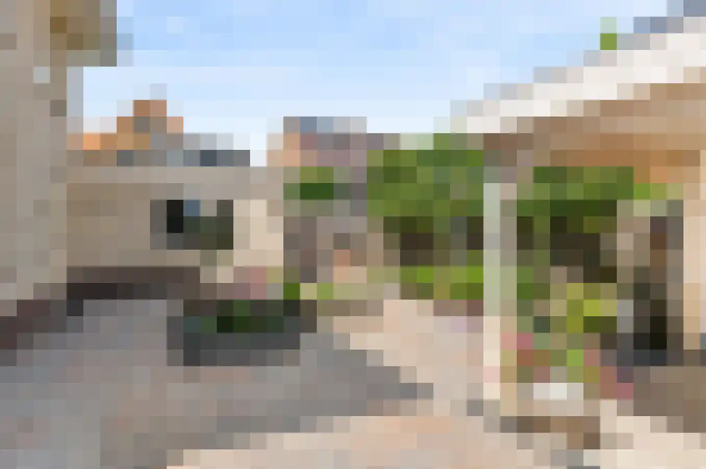 Wildlaan 1 Noordwijkerhout thumbnail 13