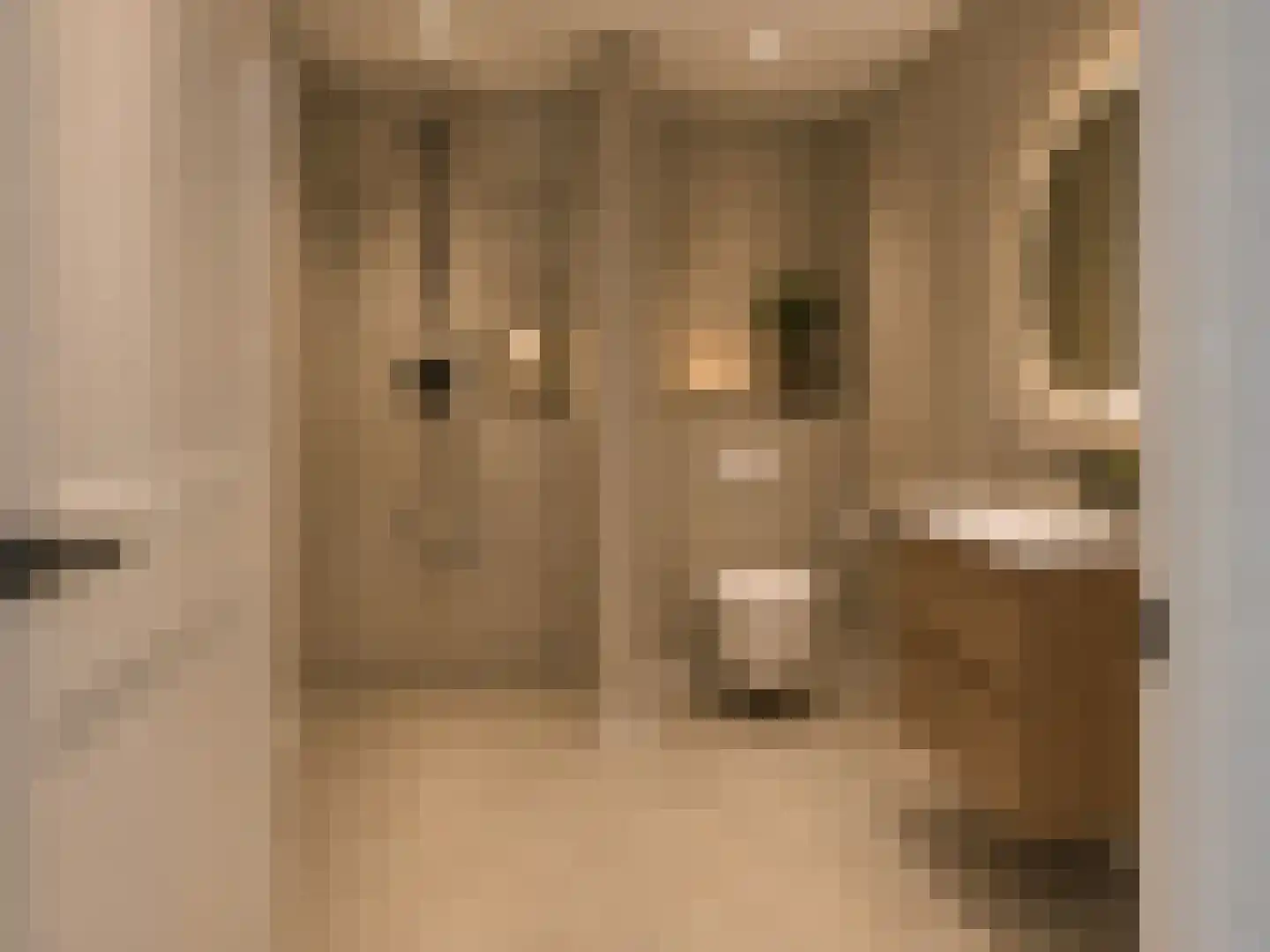 Wildlaan 1 Noordwijkerhout thumbnail 20
