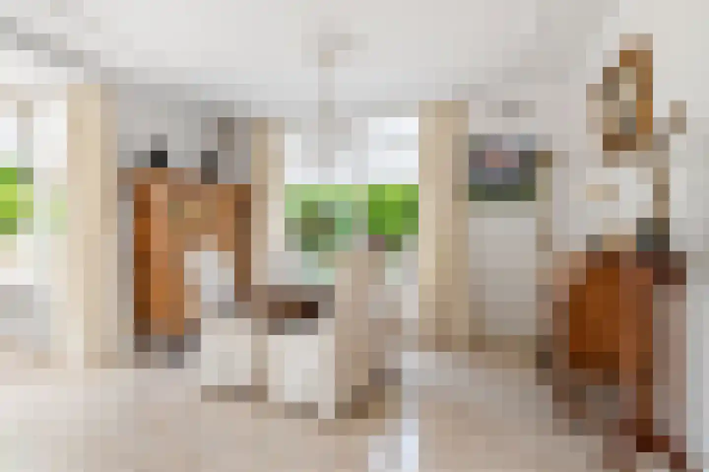 Wildlaan 1 Noordwijkerhout thumbnail 5