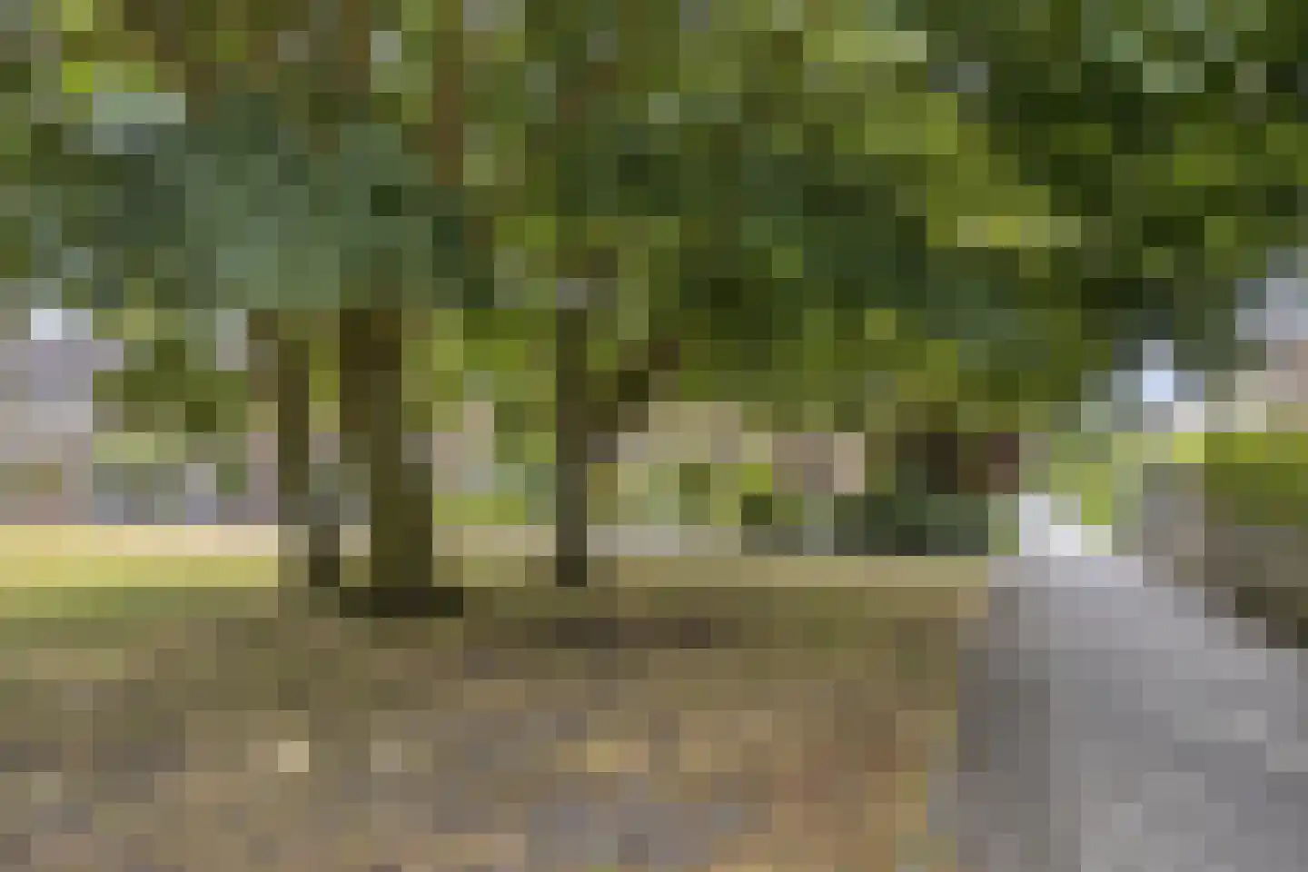 Wildlaan 42 Noordwijkerhout thumbnail 32