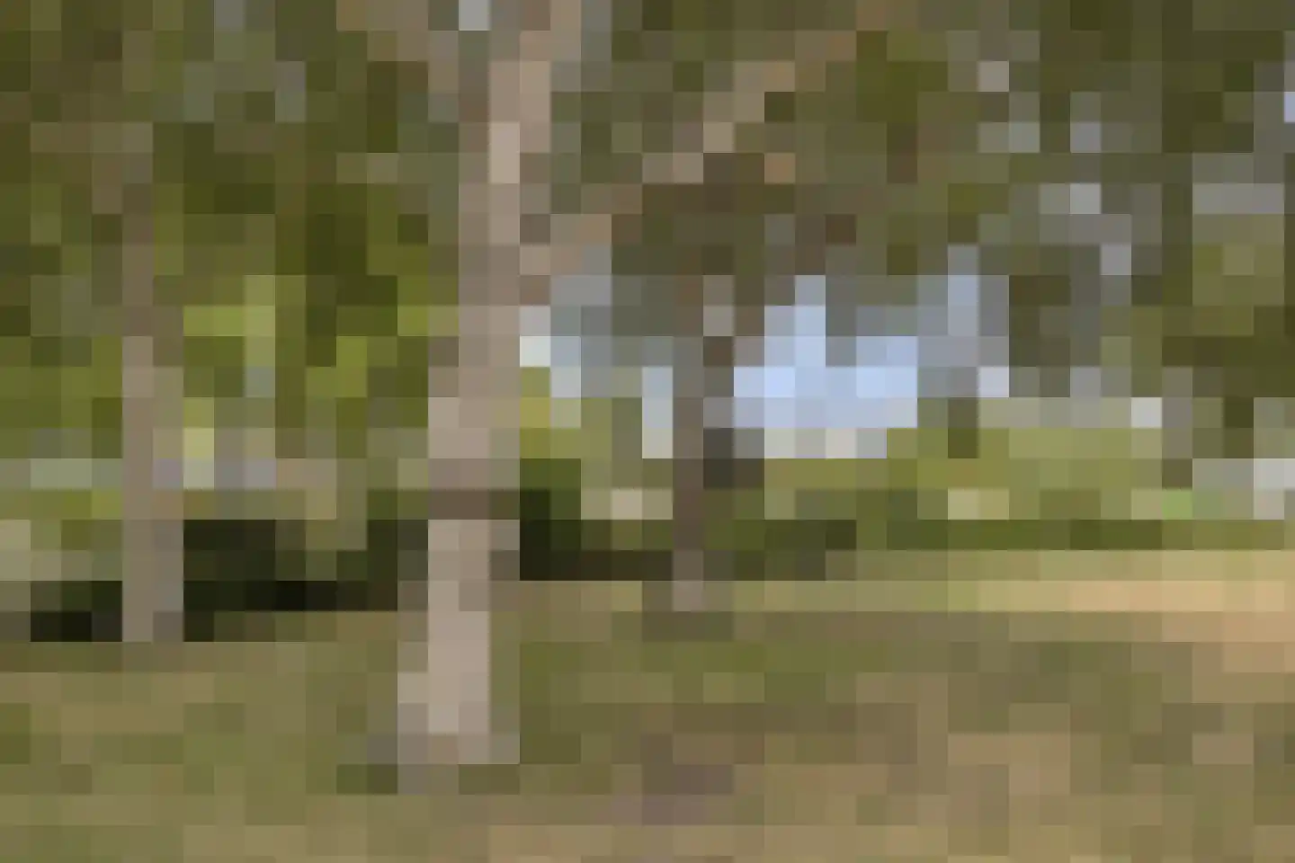 Wildlaan 42 Noordwijkerhout thumbnail 33