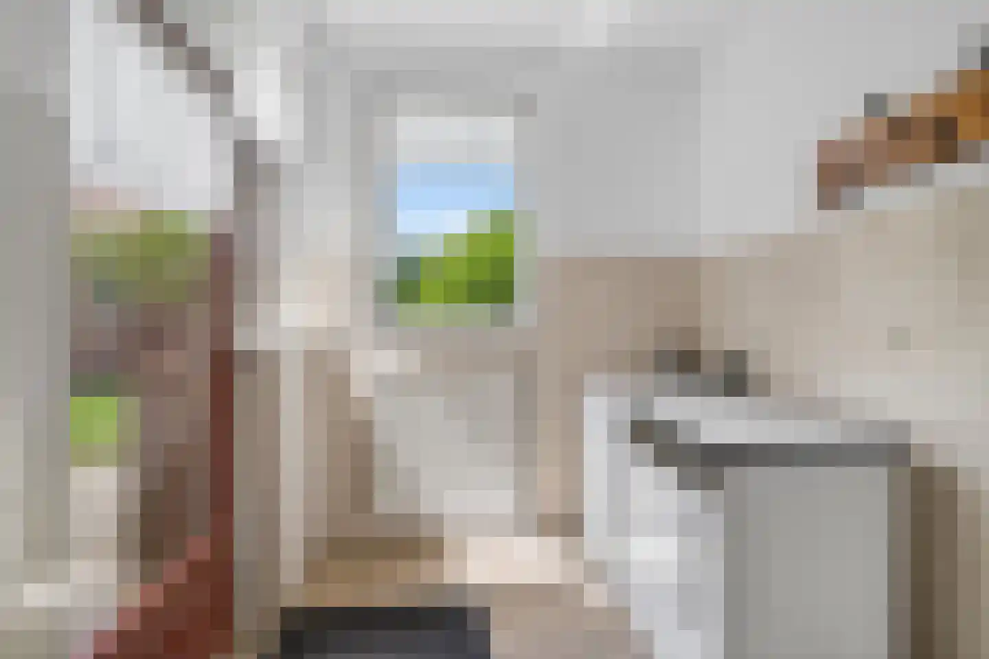 Wildpad 4 A Vught thumbnail 11