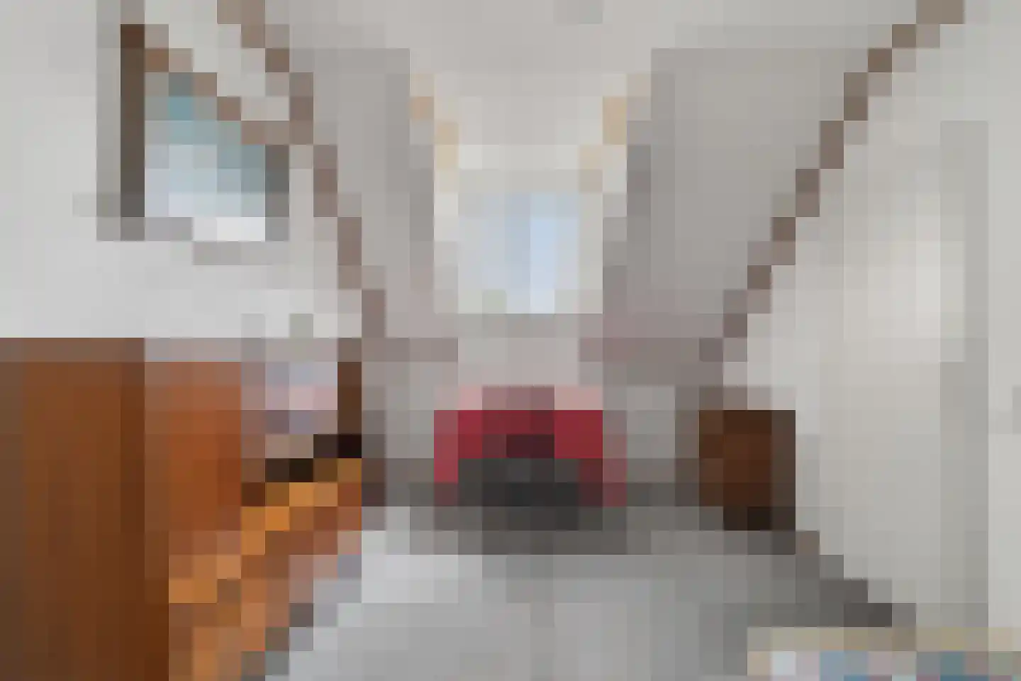 Wildpad 4 A Vught thumbnail 30
