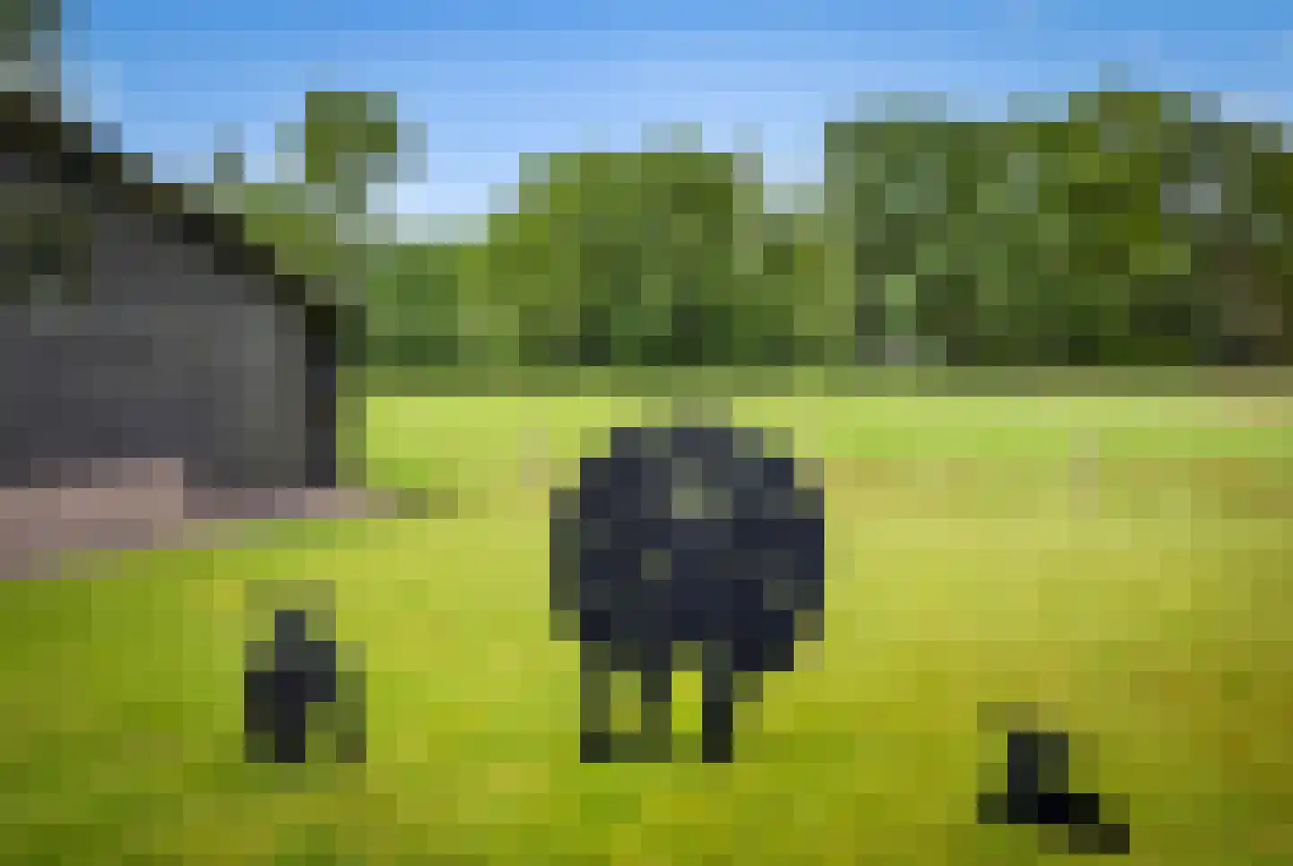 Wildpad 4 A Vught thumbnail 39