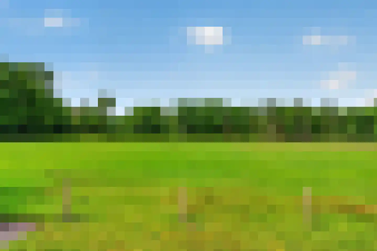 Wildpad 4 A Vught thumbnail 40