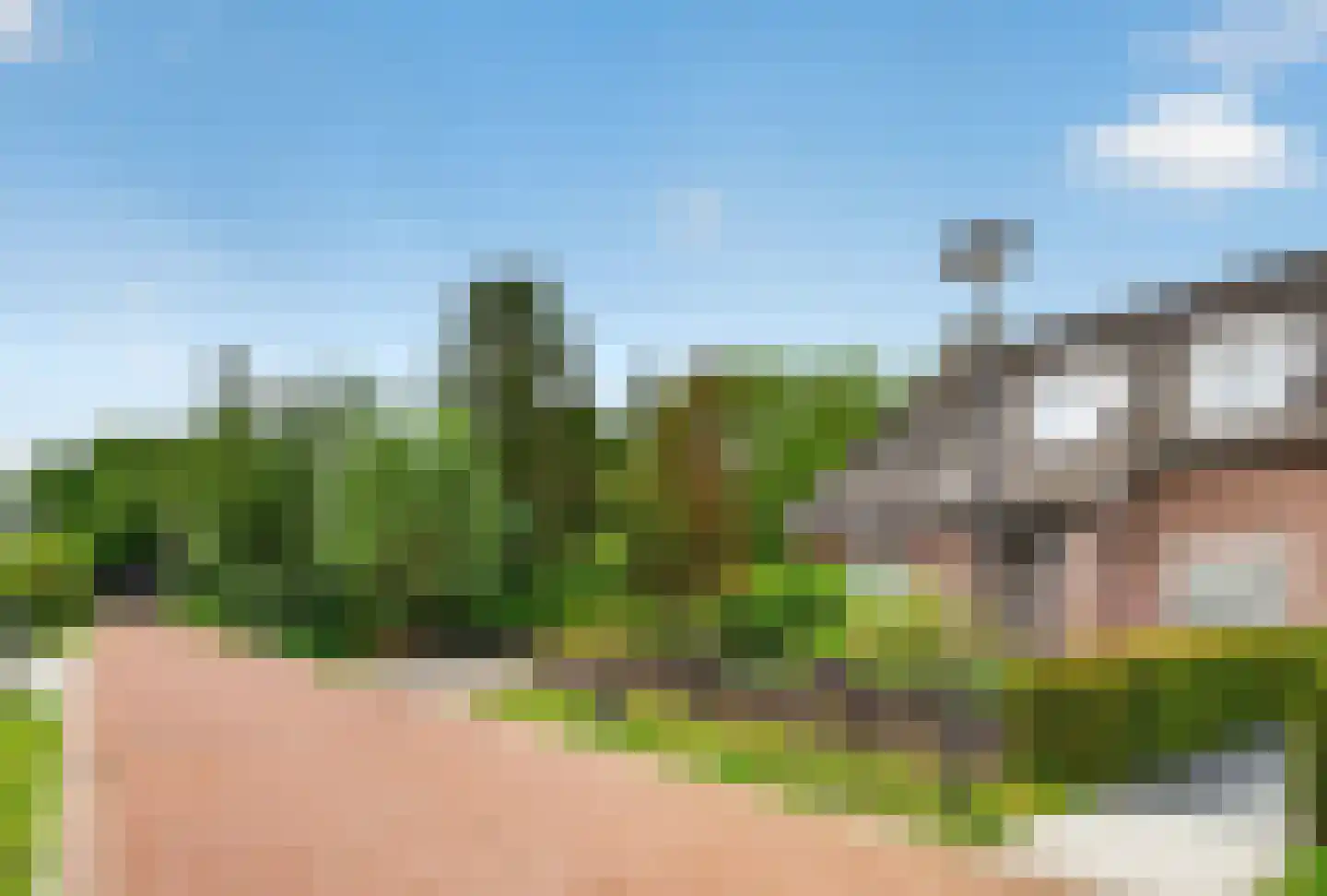 Wildpad 4 A Vught thumbnail 47