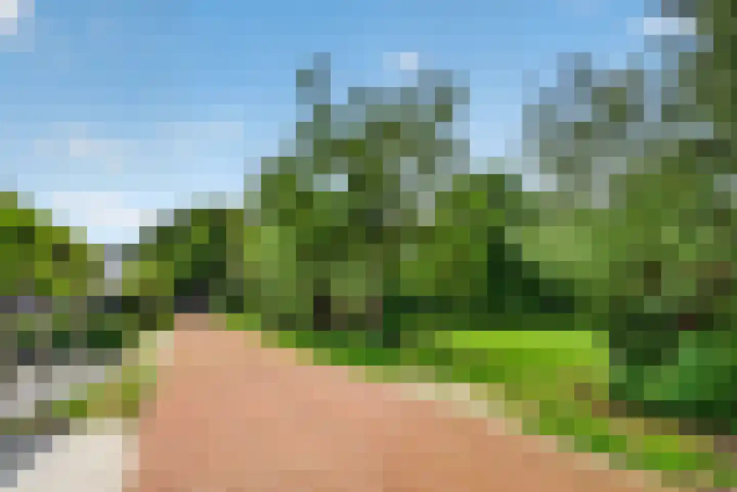 Wildpad 4 A Vught thumbnail 48