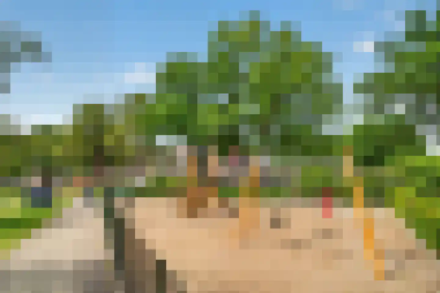 Wildpad 4 A Vught thumbnail 52