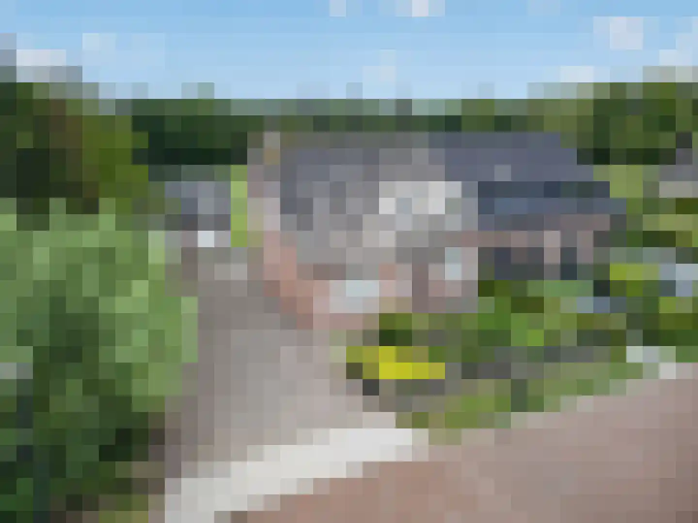 Wildpad 4 A Vught thumbnail 53