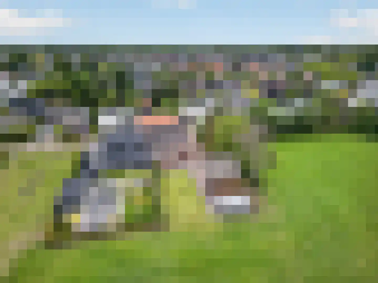 Wildpad 4 A Vught thumbnail 55