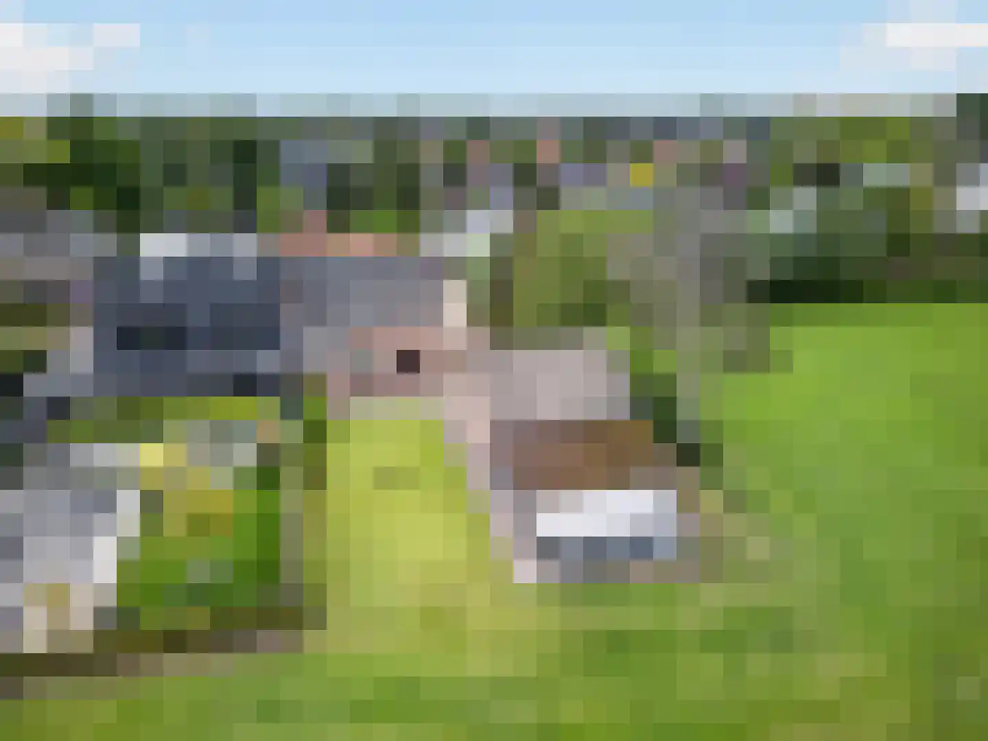 Wildpad 4 A Vught thumbnail 56