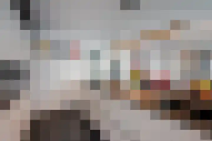 Wildpleintje 45 Goirle thumbnail 11