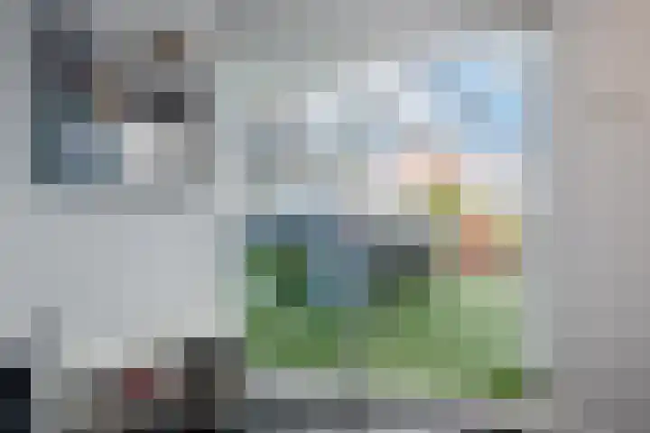 Wildpleintje 45 Goirle thumbnail 12