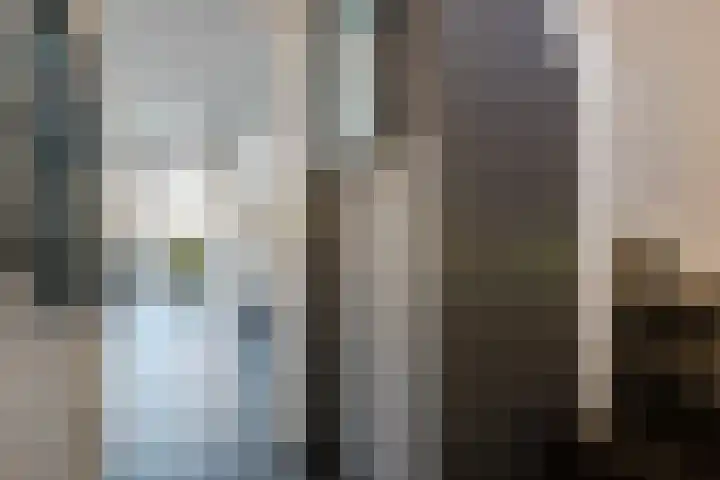 Wildpleintje 45 Goirle thumbnail 13