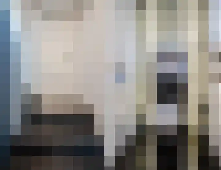 Wildpleintje 45 Goirle thumbnail 14