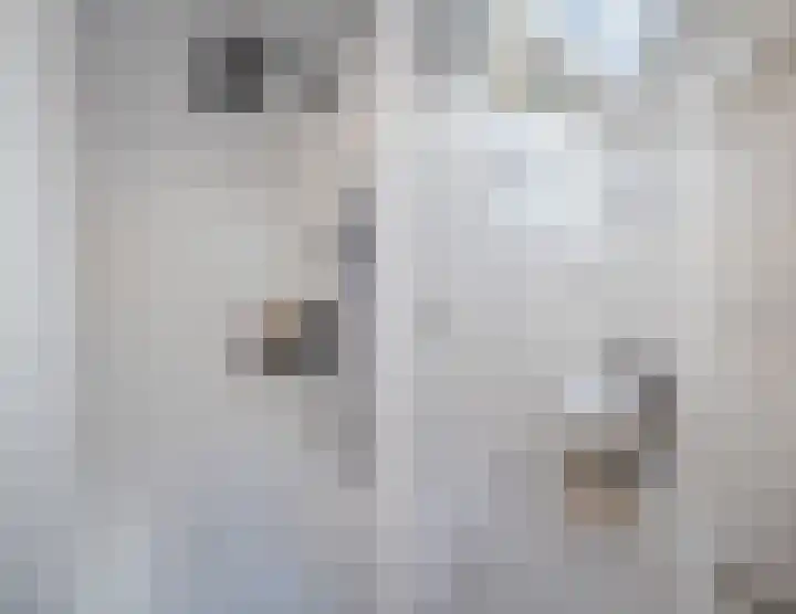 Wildpleintje 45 Goirle thumbnail 22