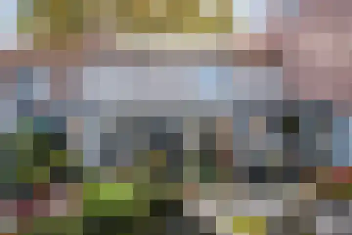 Wildpleintje 45 Goirle thumbnail 25