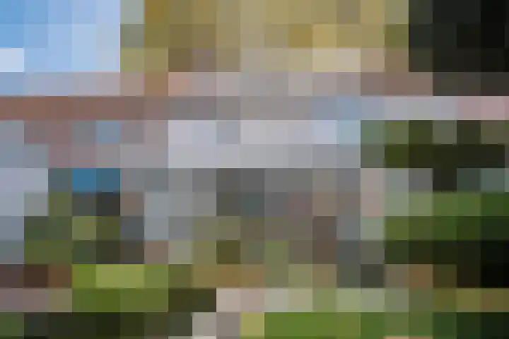 Wildpleintje 45 Goirle thumbnail 26